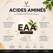 VITARQ Acides Aminés Essentiels 30 gélules – récupération musculaire après l'effort — VITARQ, vue 5
