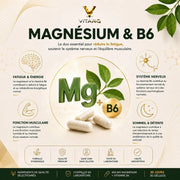 VITARQ Magnésium B6 400 mg – soutien du sommeil et des crampes — VITARQ, vue 4