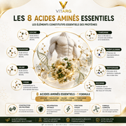 VITARQ Acides Aminés – les 8 acides aminés essentiels et leur rôle dans les protéines — VITARQ, vue 4