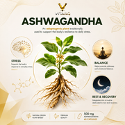 Ashwagandha benefits for stress relief, relaxation and balance – VITARQ Morocco — VITARQ, vue 4
